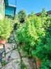 IMG20220723095504