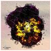 HAPPY PANSY (m2)