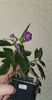 received_603380011148193