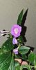 received_1433001657203218