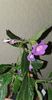 received_776067830405508