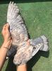 received_2839632222998280