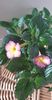 received_1006115236748174