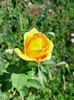 IMG20220723104453