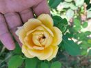 IMG20220723104329