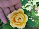 IMG20220723104327