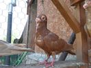 SAM_7570