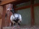 SAM_7599