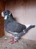 received_2687992888172155
