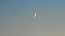 Luna noua in Leu