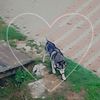 IMG-20220808-WA0116
