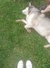 IMG-20220808-WA0145