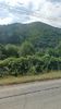 IMG-20220808-WA0006