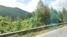 IMG-20220808-WA0007