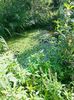 IMG20220812092007
