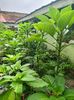 IMG20220811083133