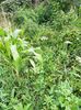 IMG20220810110930