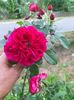 IMG20220803192004