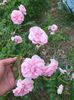 IMG20220803185802