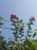 20220812_101626(0)