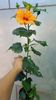 received_1103481393708356