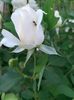IMG20220816201650