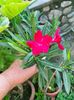 IMG20220815092726