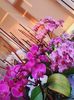 IMG-20220616-WA0013