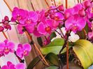 IMG-20220616-WA0019