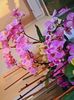 IMG-20220616-WA0023