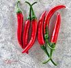 Ardei iuti-Red hot chilly peppers