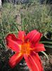 IMG-20220821-WA0001