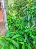 IMG20220822084340