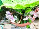 IMG20220820132348