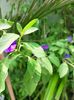 IMG20220820132341