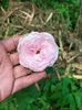 IMG20220820132056