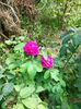 IMG20220820132026