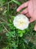 IMG20220820132018