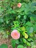 IMG20220820131953