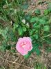 IMG20220820131929