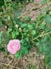 IMG20220820131927