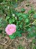 IMG20220820131924