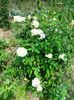 IMG20220820131827