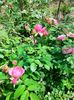 IMG20220820131735