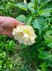 IMG20220820131514
