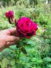 IMG20220820131336