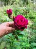 IMG20220820131335
