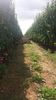 IMG-20220820-WA0048