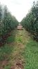 IMG-20220820-WA0047