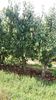 IMG-20220820-WA0050